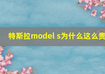 特斯拉model s为什么这么贵